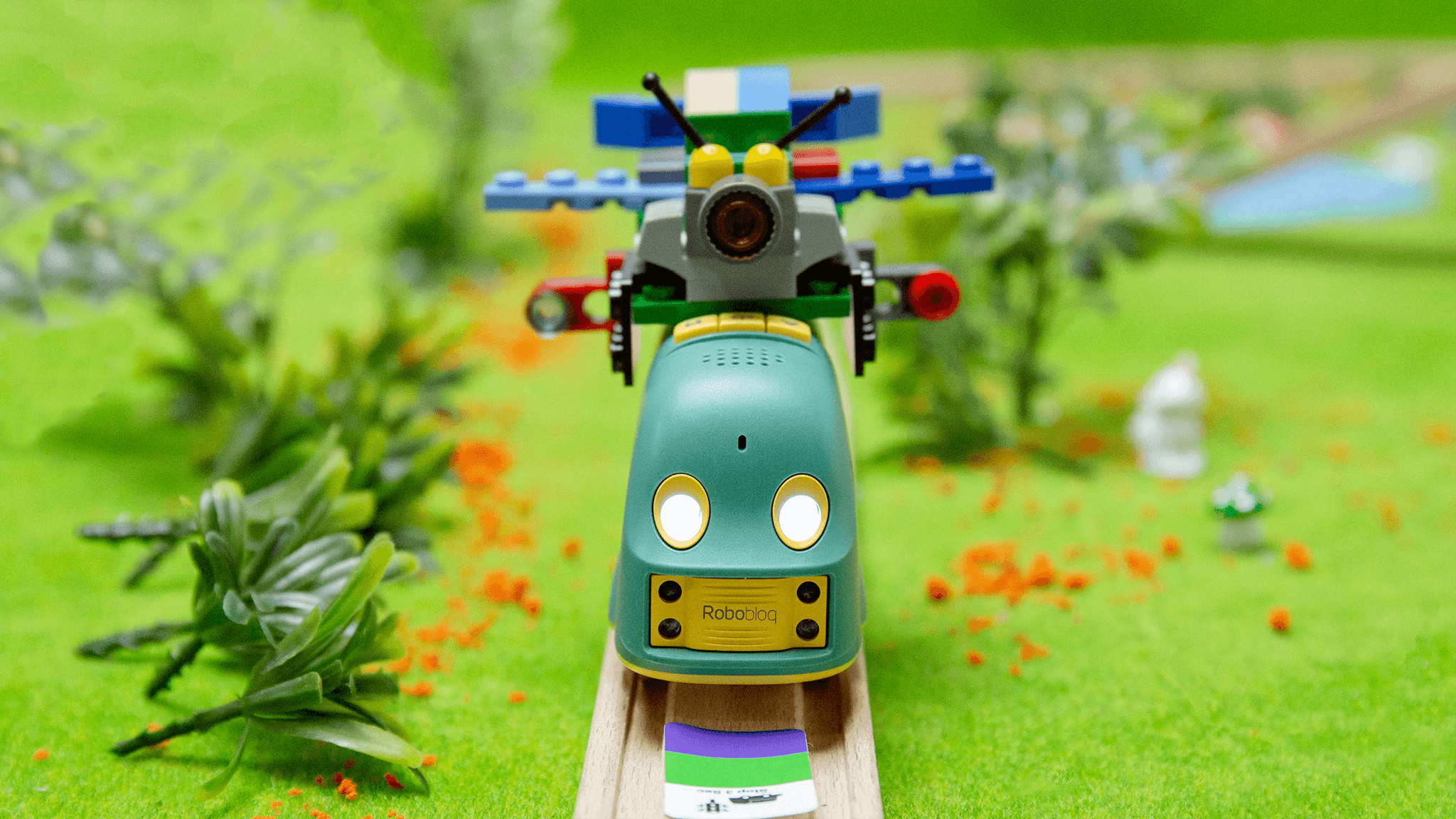 Robobloq rong